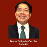 4. Senador Mario Delgado .jpg