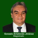 Gonzalo Arredondo Jiménez