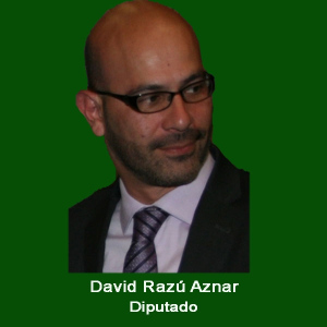 8. Diputado David Razu Aznar .jpg